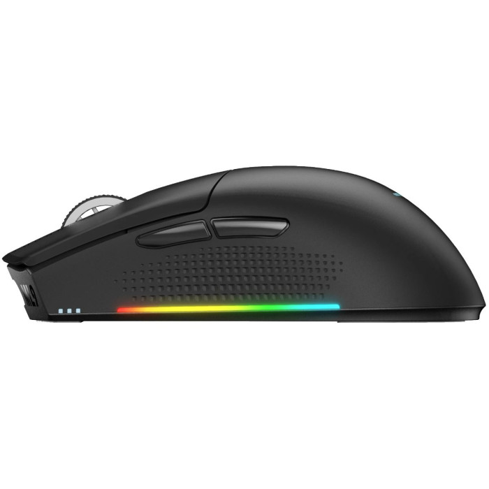 Игровая мышь беспроводная Thunderobot / ML901, Black