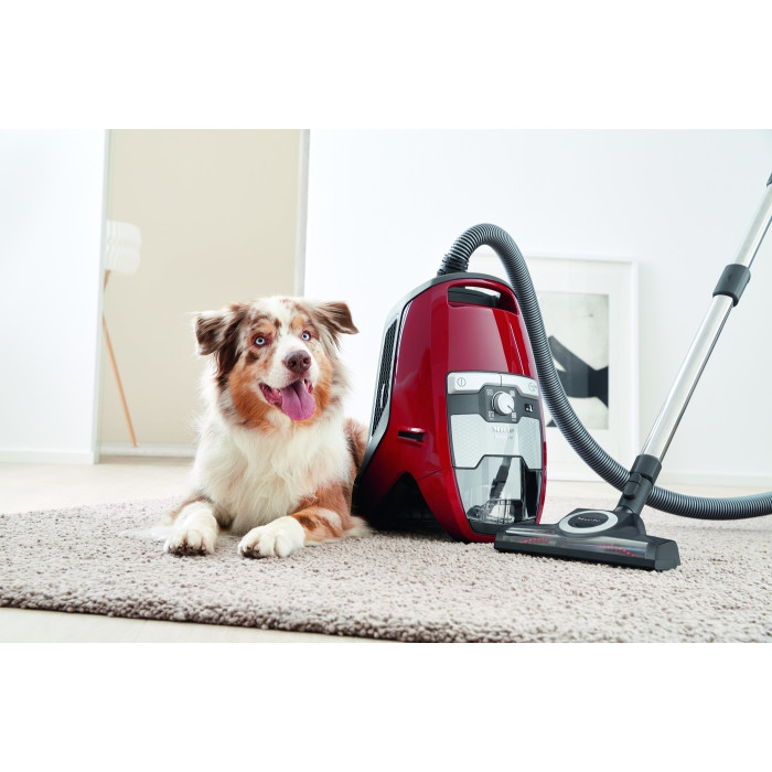 Miele SKCR3 Blizzard CX1 Cat & Dog красный