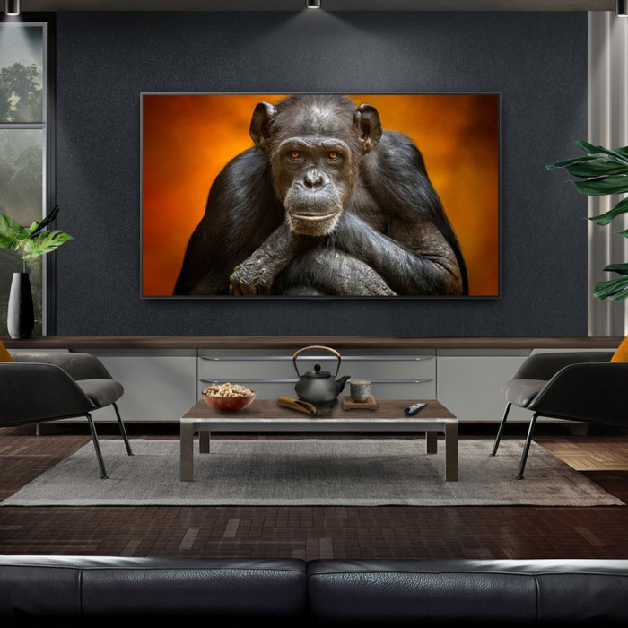 OLED TV LG / OLED55G5RLA