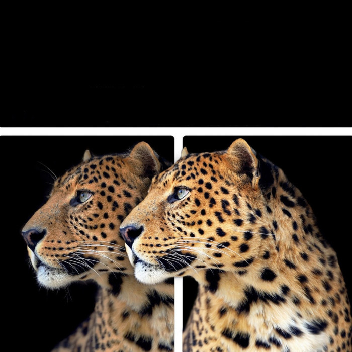 OLED TV LG / OLED55G5RLA