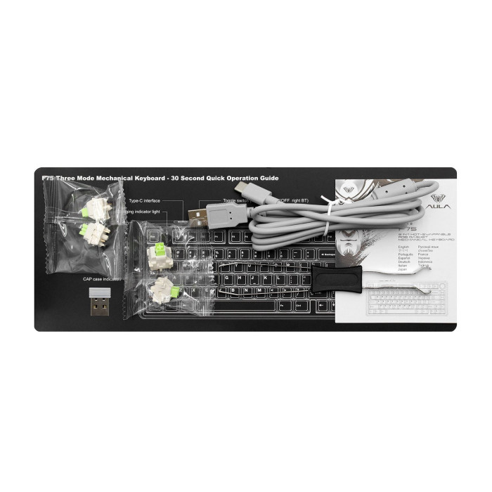 KeyBoard Bluetooth, Aula F75, BT/wireless/Type C, mechanical, Comics