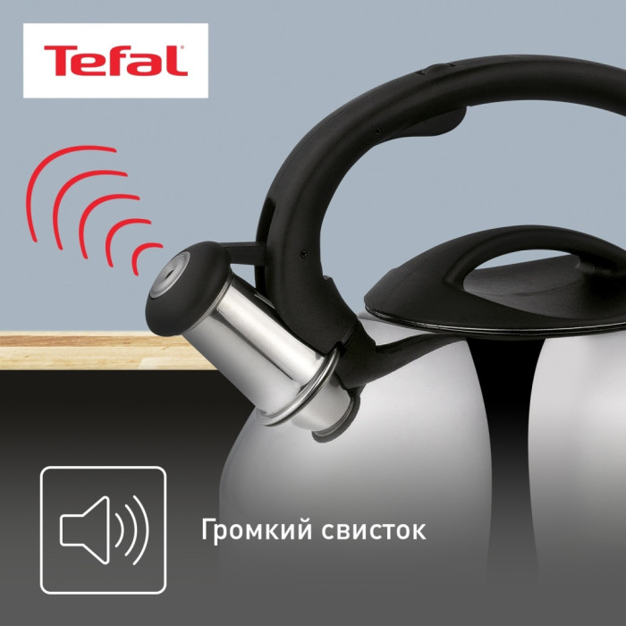 Tefal чайник C7922024 3 л, нержавеющая сталь