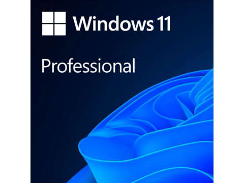 Microsoft Windows Professional 11 64-bit All Languages Online Product Key License 1 License Downloadable ESD NR