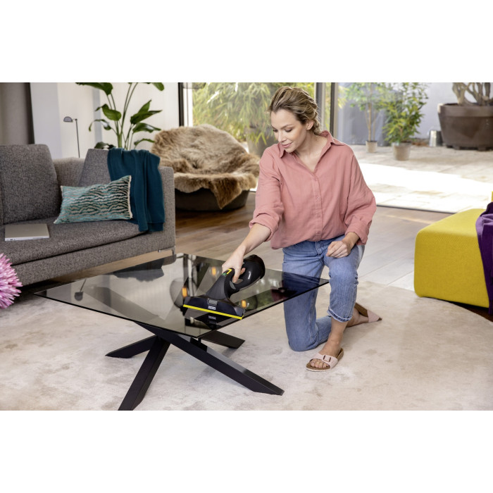 Karcher WV 5 Plus Anniversary Edition черный, бежевый