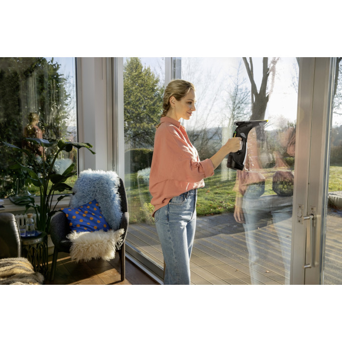 Karcher WV 5 Plus Anniversary Edition черный, бежевый