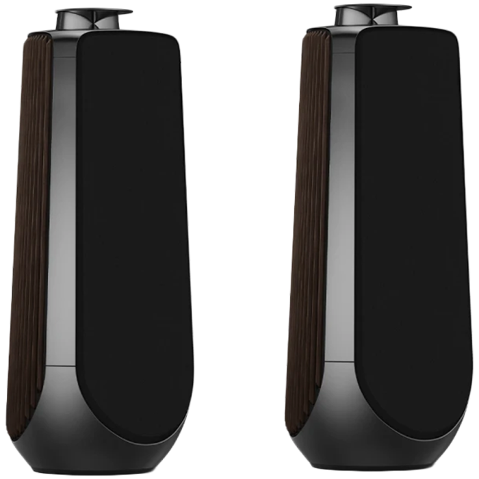 Beolab 50 Speaker (Secondary) Black Anthracite<br>