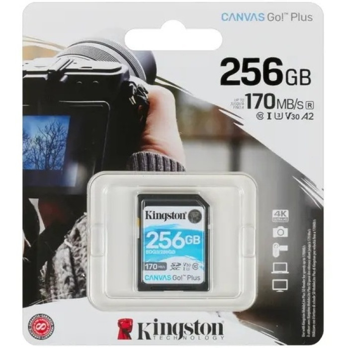 Kingston SDG3/256GB 256GB