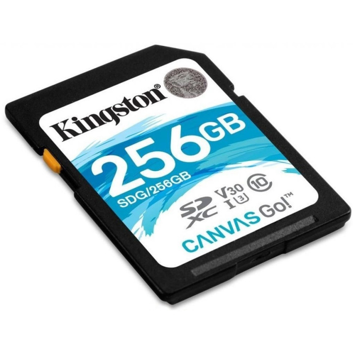 Kingston SDG3/256GB 256GB