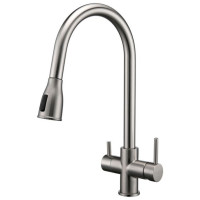 Смеситель для кухни (мойки) Paulmark Lange, двухзахватный