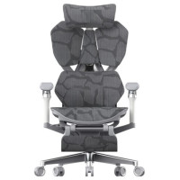 Офисное кресло Sihoo Sihoo X5Pro-402-JT серый, серый