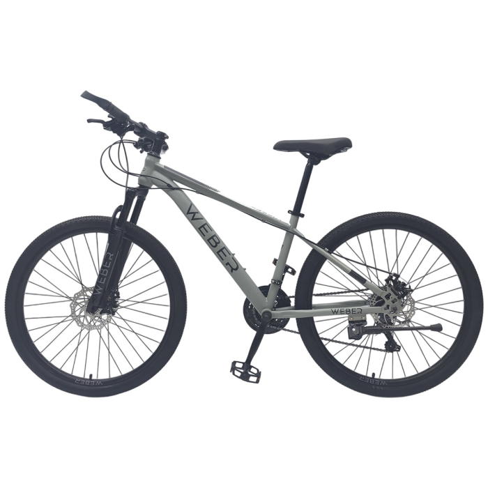 Велосипед Weber MBS261721NG 2025 17 дюймов серый
