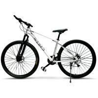Велосипед Weber MBA291921GS 2025 19 дюймов серебристый