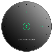 Grandstream GMD1208