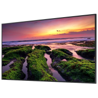 65" Samsung LH65QBBEBGCXCI черный