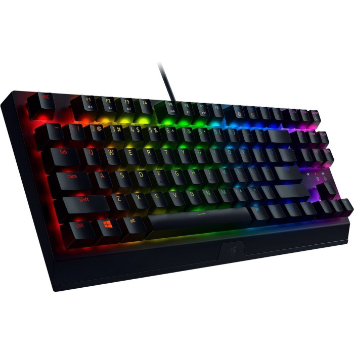 Razer BlackWidow V3 Tenkeyless RZ03-03490700-R3R1 черный