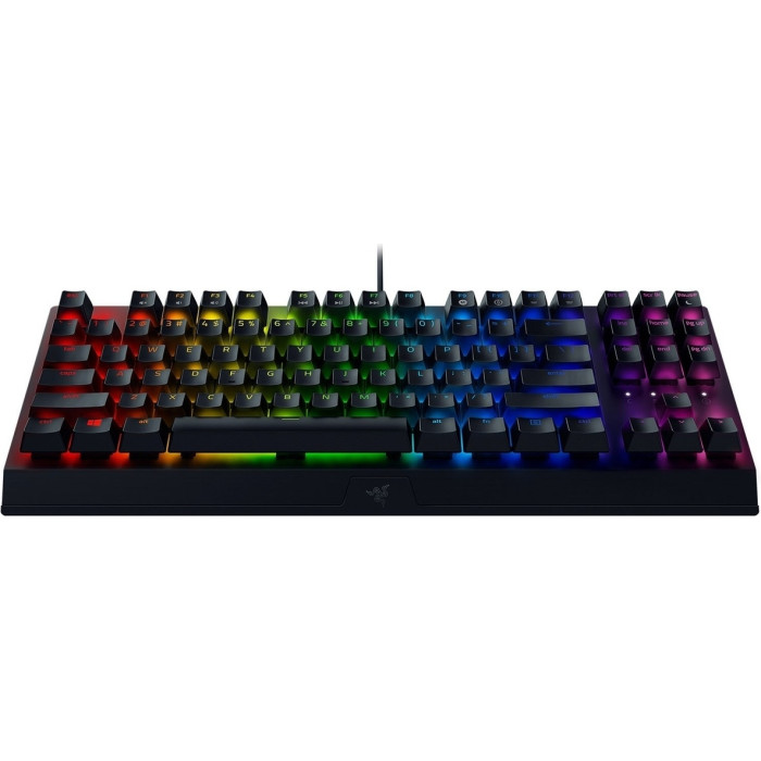Razer BlackWidow V3 Tenkeyless RZ03-03490700-R3R1 черный