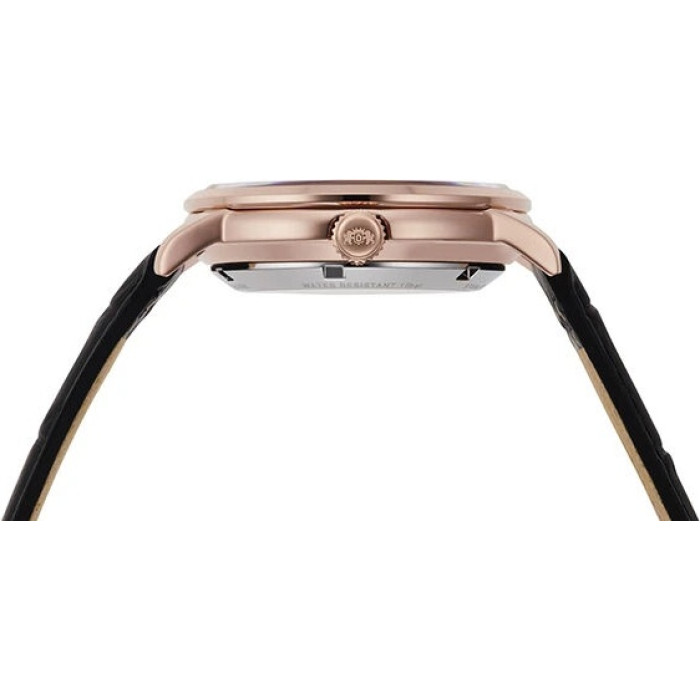 Механические ORIENT RA-AR0103B30B сталь