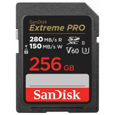 SanDisk Secure Digital XC SDSDXEP-256G-GN4IN 256 Гб