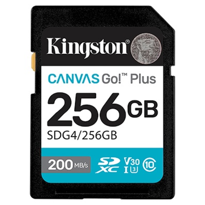 Kingston Secure Digital XC SDG4/256GB 256 Гб