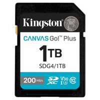 Kingston Secure Digital XC SDG4/1TB 1024 Гб