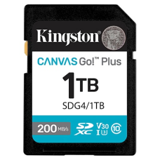 Kingston Secure Digital XC SDG4/1TB 1024 Гб