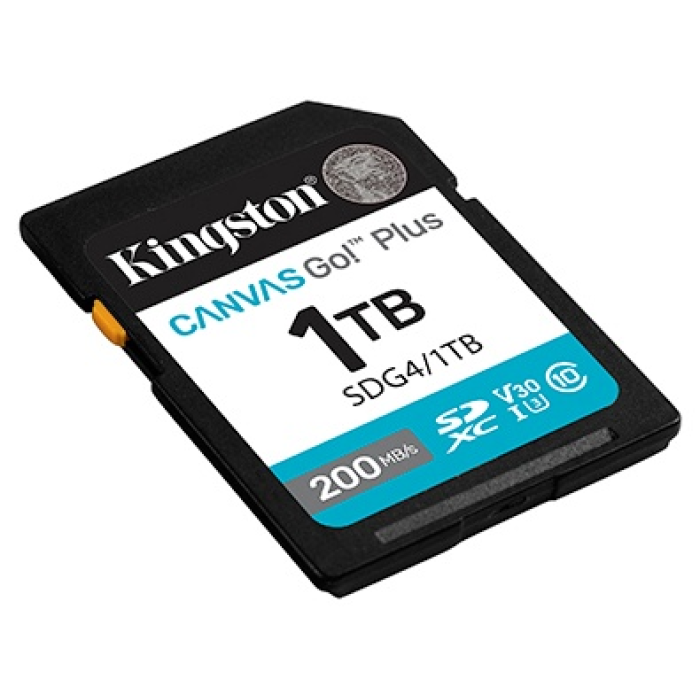 Kingston Secure Digital XC SDG4/1TB 1024 Гб