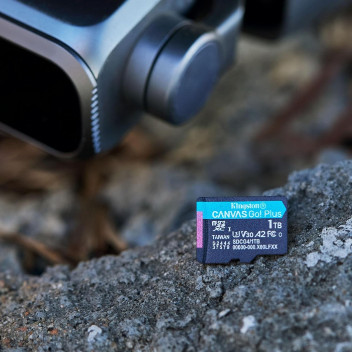 Kingston microSD Class 10 U3 SDCG4/256GB 256 Гб