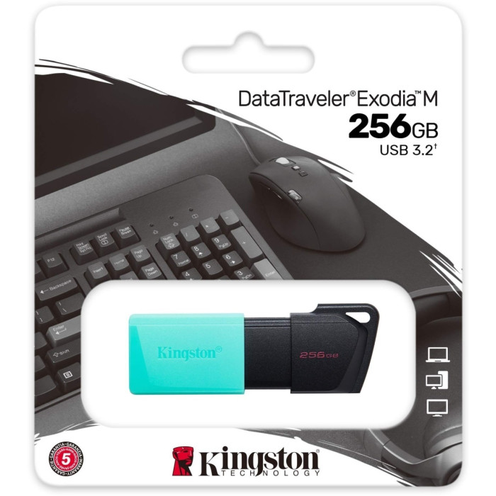 Kingston DTXM/256GB 256 Гб