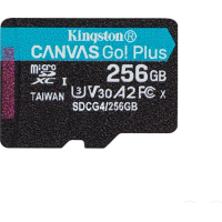 Kingston microSDXC SDCG4/256GBSP 256 Гб