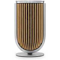 Bang & Olufsen Beolab 8
