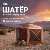 XG 2905-B коричневый