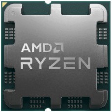 AMD Ryzen 9 9900x OEM