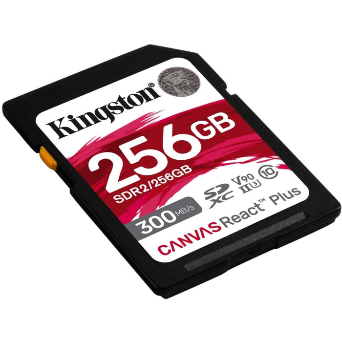 Kingston SDR2/256GB 256 Гб