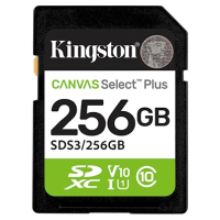Kingston Secure Digital XC SDS3/256GB 256 Гб