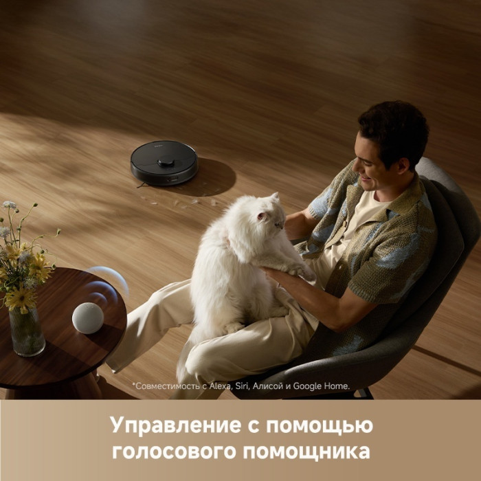 DREAME F10 RLF11SA черный