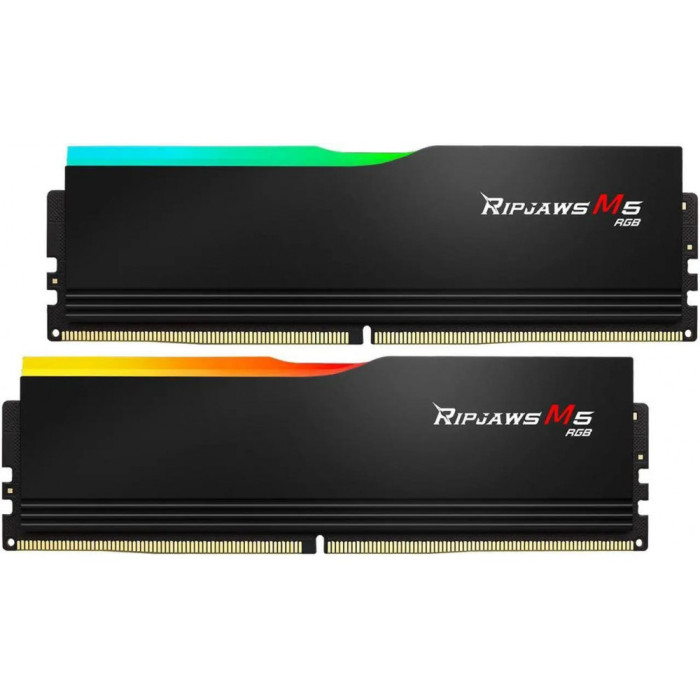 G.SKILL F5-5200J4040A24GX2-RM5RK 48 Гб