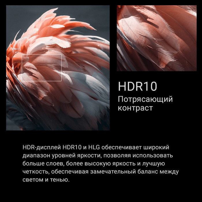 Xiaomi A 2025 L55MA-ARU 140 см черный