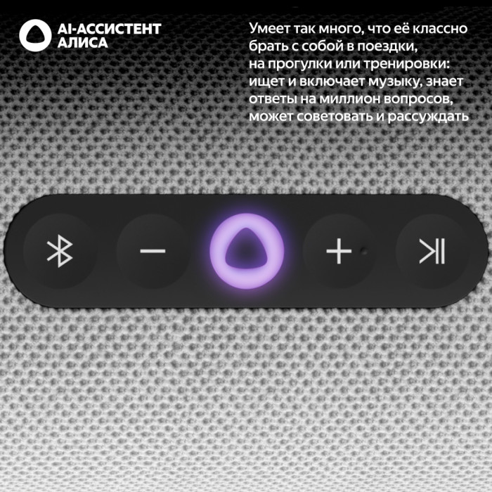 Портативная умная колонка Яндекс Станция Стрит с Алисой, 30 Вт, Серый<br>80511