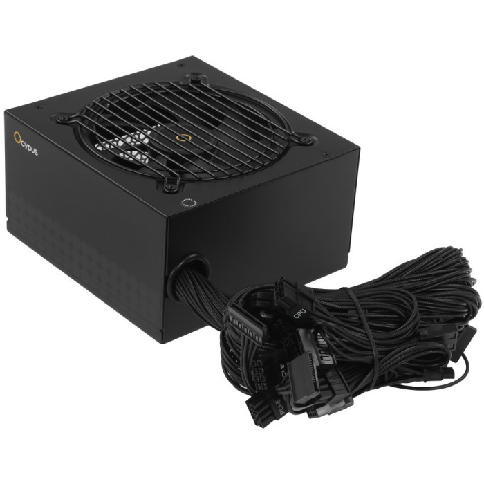 Ocypus Gamma P850 850 Вт