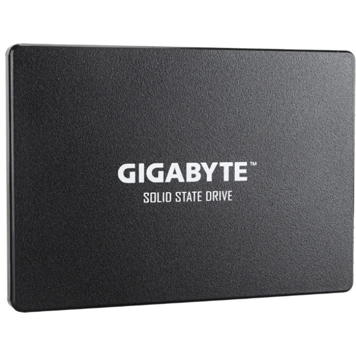 SSD GIGABYTE GP-GSTFS31256GTND 256 ГБ
