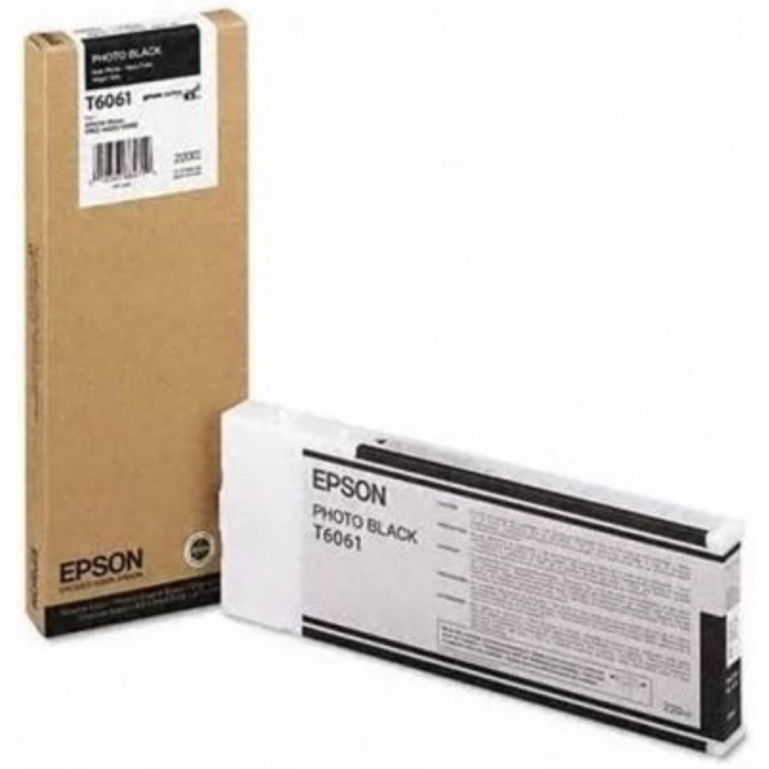 Epson C13T606100 черный