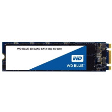 Western Digital WDS250G2B0B 250 GB