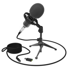 Ritmix RDM-160