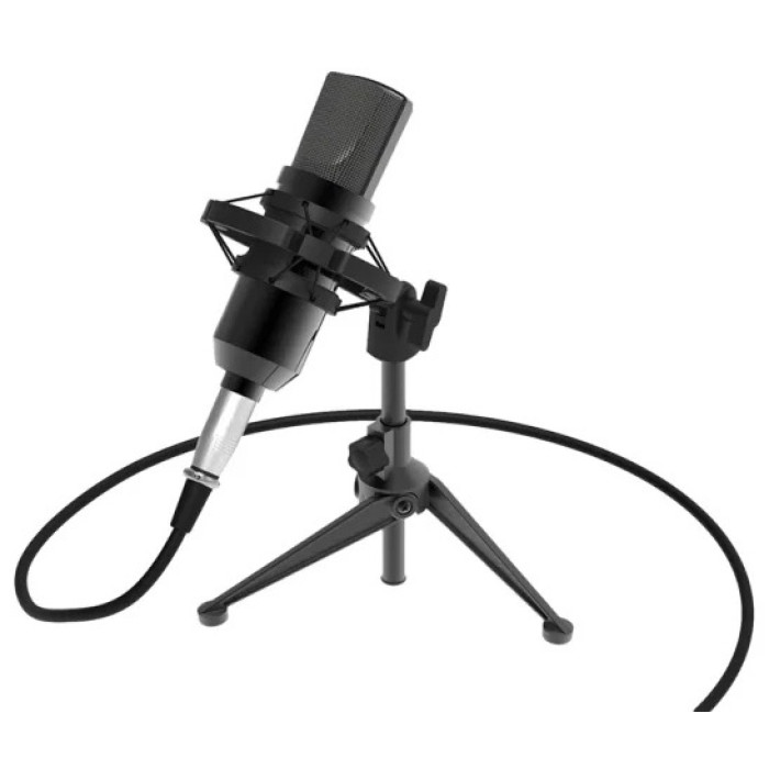Ritmix RDM-160