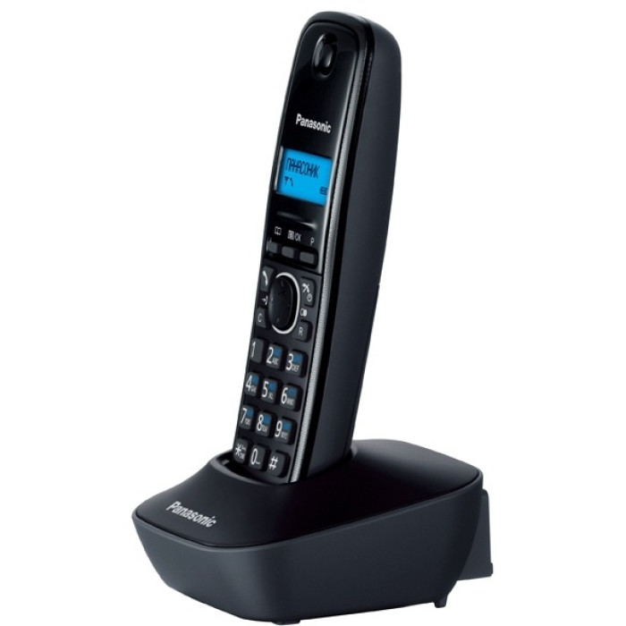 Panasonic KX-TG1611RUH