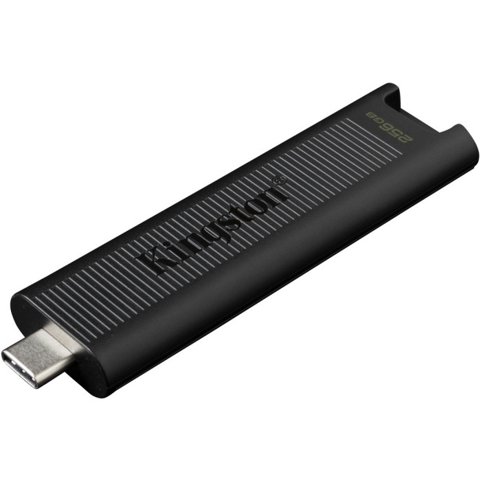 Kingston DataTraveler Max DTMAX/256GB 256GB черный