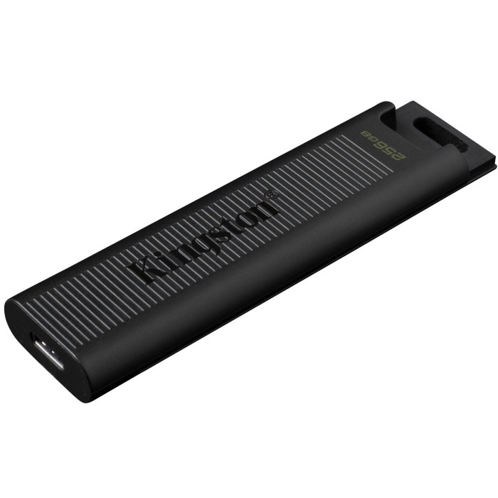 Kingston DataTraveler Max DTMAX/256GB 256GB черный