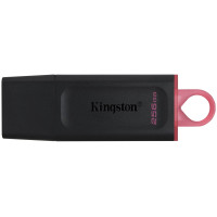 Kingston DTX/256GB 256 Гб