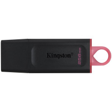 Kingston DTX/256GB 256 Гб