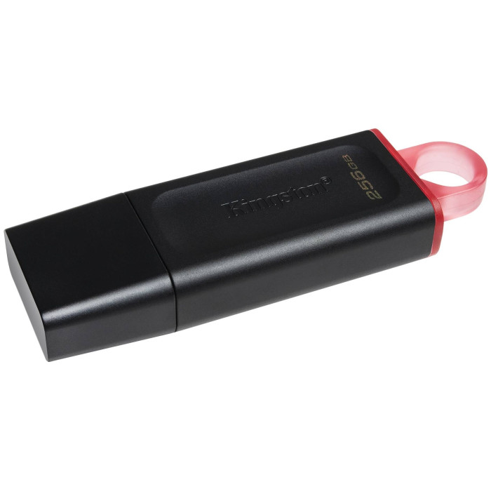Kingston DTX/256GB 256 Гб